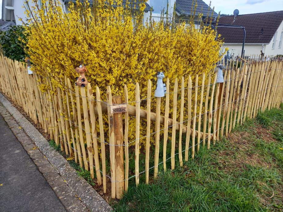 Staketenzaun aus Kastanie 100 cm Adequat