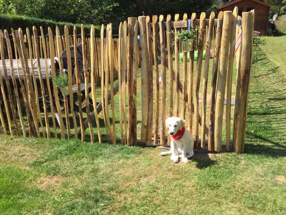 Staketenzaun aus Kastanie 150 cm Adequat