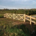 Weidetor Holz