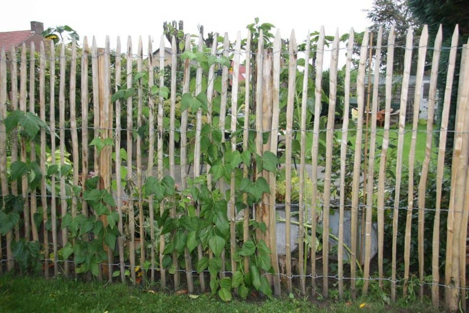 Staketenzaun aus Kastanie 175 cm Adequat