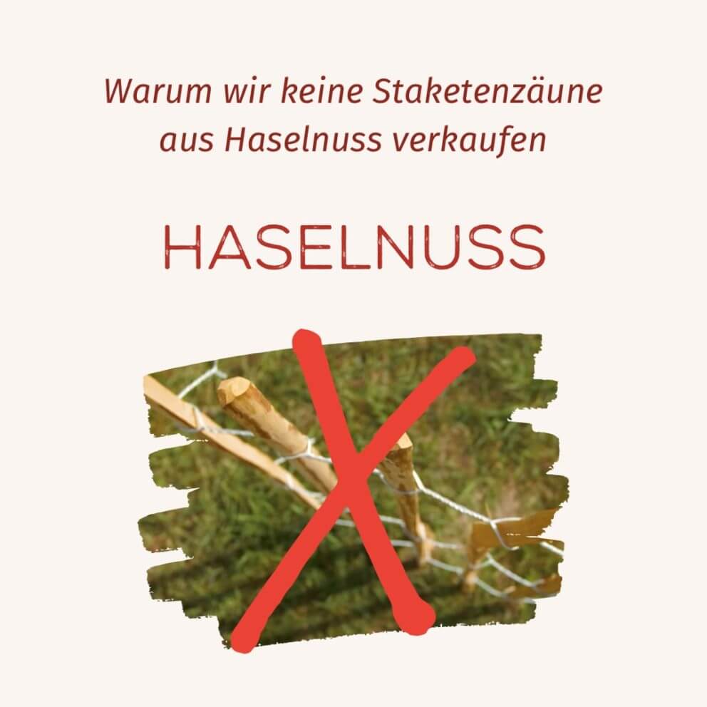 Staketenzaun Haselnuss