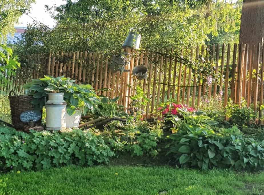 Staketenzaun aus Robinie im Bauerngarten