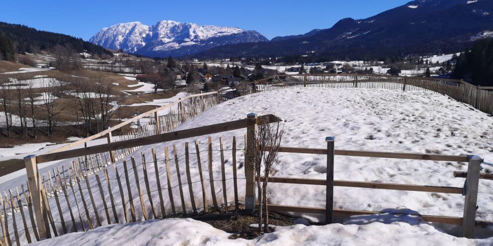 Staketenzaun Berge Schnee