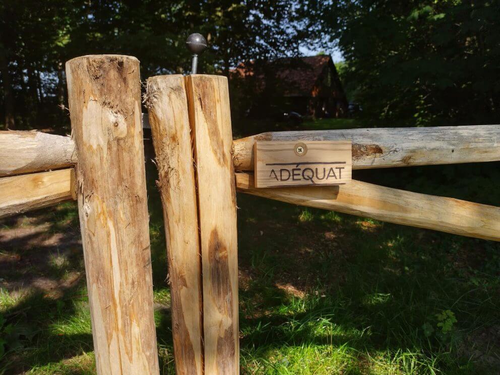 Staketenzaun Tor (Doppeltor)