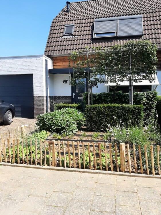 Staketenzaun Kastanie 50 cm Adequat