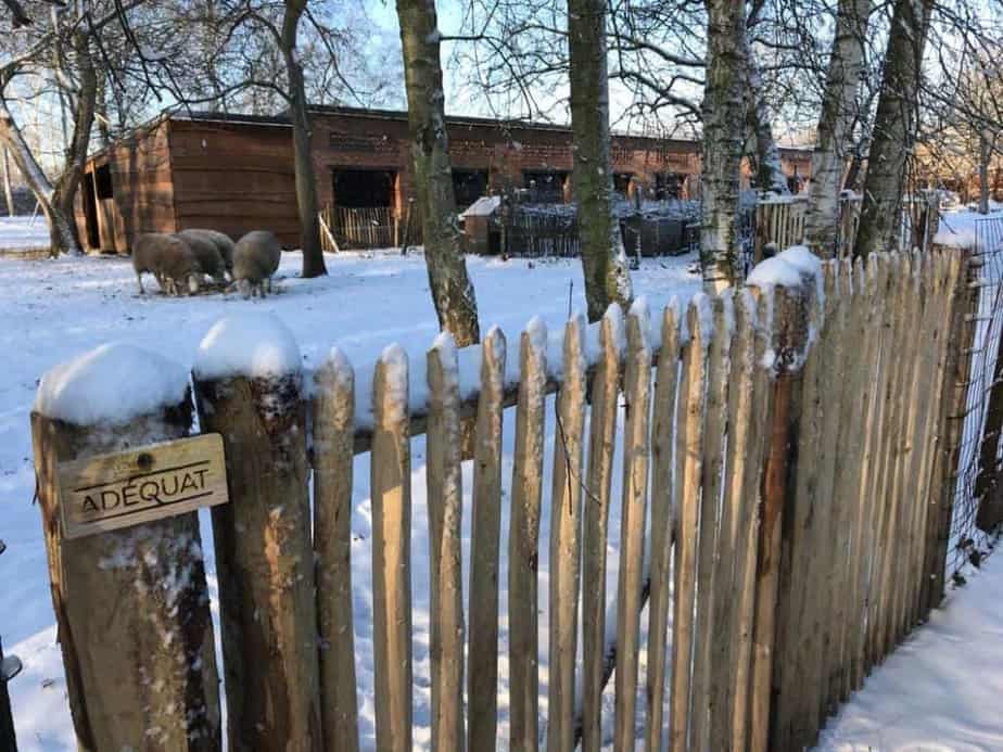 Staketenzaun winterhart im Schnee