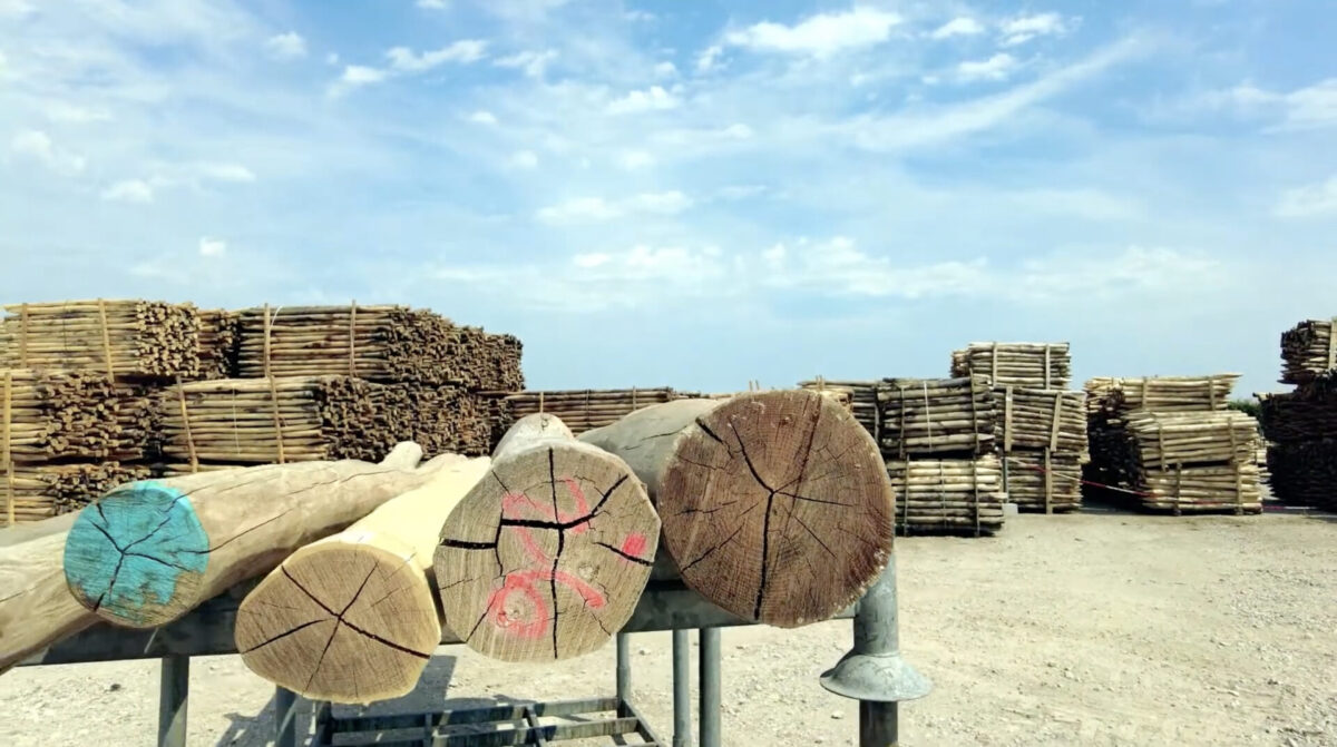Holz für den DIY Sandkasten-Bau (Robinie)