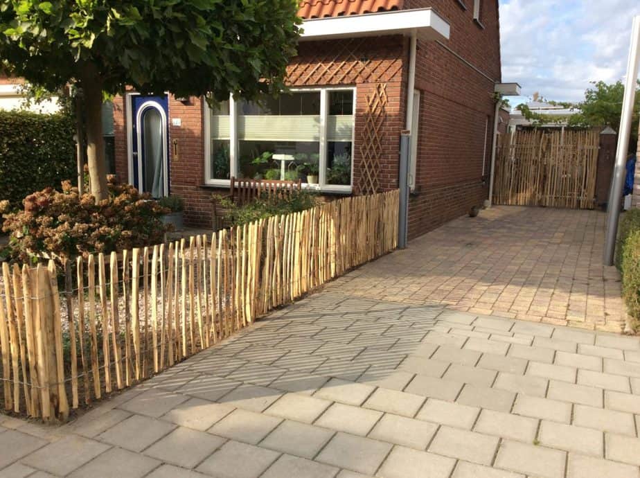 Kastanjehegn 80 cm højt - 4 cm Staveafstand