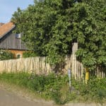 Fransk kastanjehegn 120 cm Adequat
