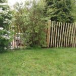 Fransk kastanjehegn 120 cm Adequat