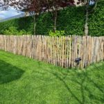Fransk kastanjehegn 80 cm Adequat