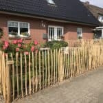 Fransk kastanjehegn 100 cm Adequat