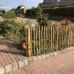 Fransk kastanjehegn 100 cm Adequat