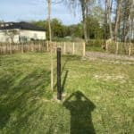 Fransk kastanjehegn 120 cm Adequat
