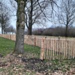 Fransk kastanjehegn 120 cm Adequat