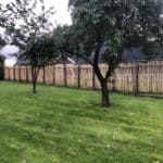 Fransk kastanjehegn 150 cm Adequat