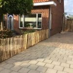 Fransk kastanjehegn 80 cm Adequat