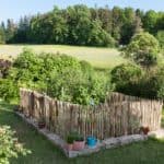 Fransk kastanjehegn 80 cm Adequat