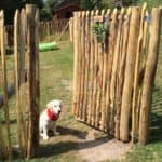 Fransk kastanjehegn 150 cm Adequat