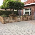 Fransk kastanjehegn 80 cm Adequat