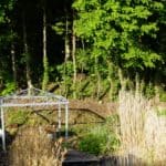 Fransk kastanjehegn 200 cm Adequat