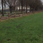 Project Post & Rail 2-niveau kastanje posten rond
