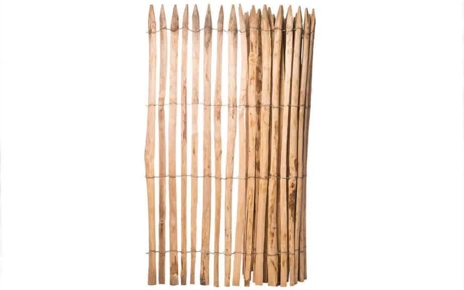 Fransk kastanjehegn 150 cm højt