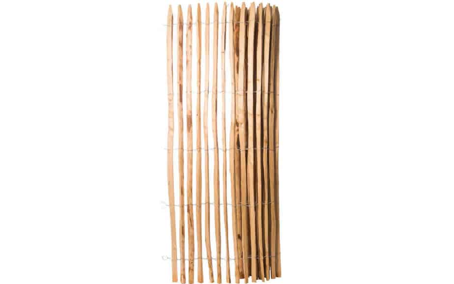 Fransk kastanjehegn 200 cm højt