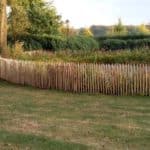 Fransk kastanjehegn 100 cm Adequat