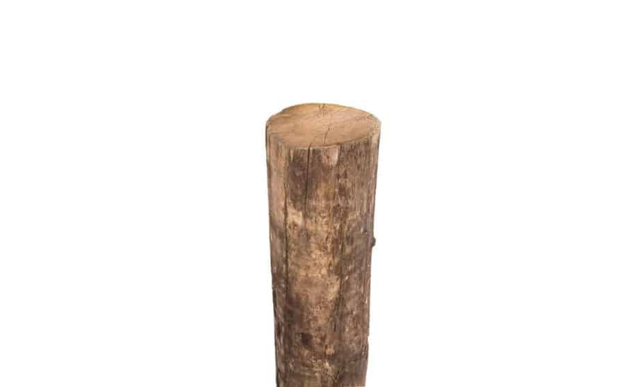 Robinie stolpe 16/18 cm