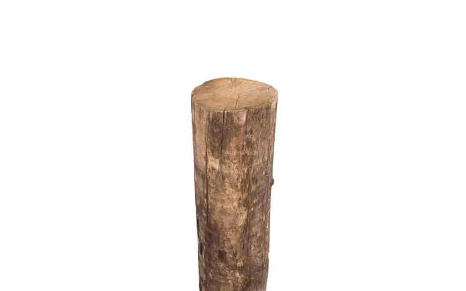Robinie stolpe 16/18 cm