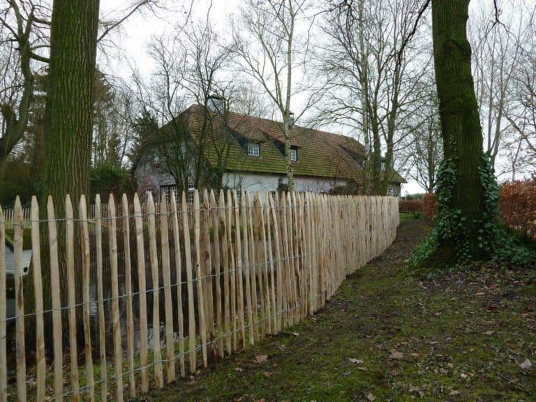 Schapenhek