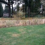 Fransk kastanjehegn 100 cm Adequat
