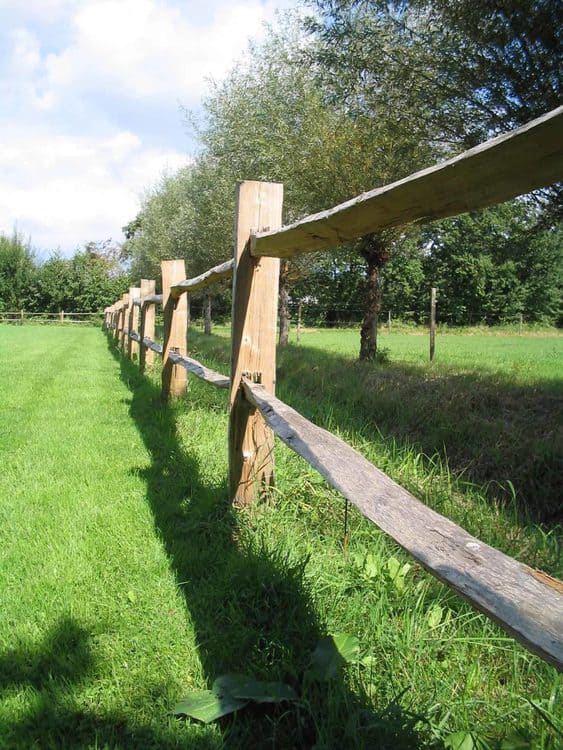 Kastanjetræ rail (tværbjælke) 1/4 savet traditionel - Image 3