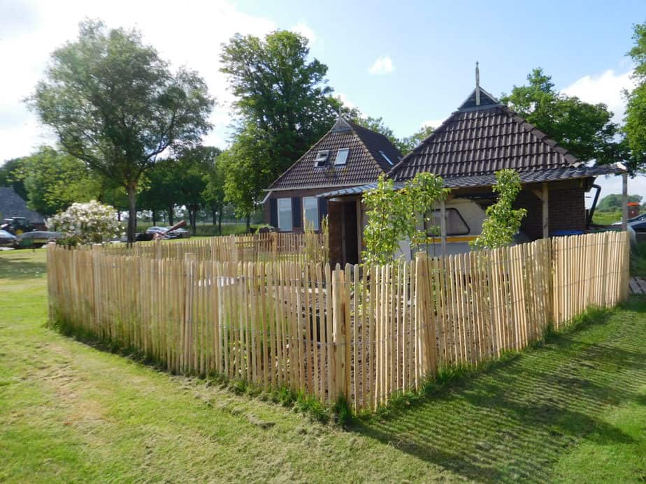Fårehegn robinie 120 cm høj