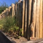Kastanjestolpe | Adéquat