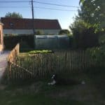 Ganivelle française 100 cm Adequat