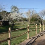 Post & Rail robinier