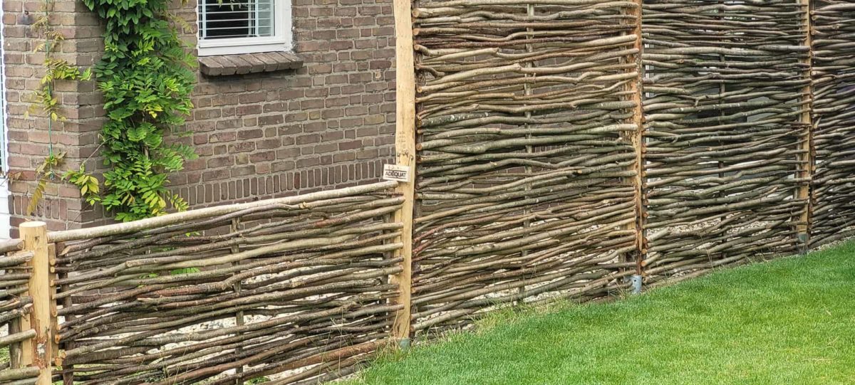 Brise-vue noisetier Somme 4 - 180 x 75 cm - Image 7