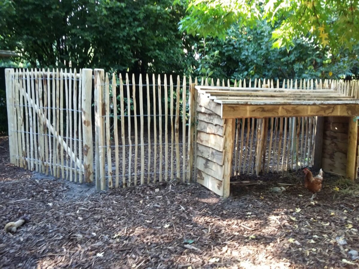 Ganivelle française 150 cm de hauteur – Image 8