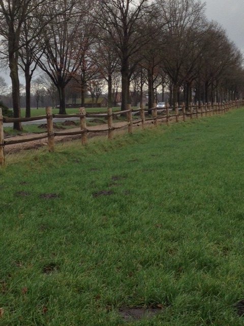 Projet Post & Rail 2-niveaux