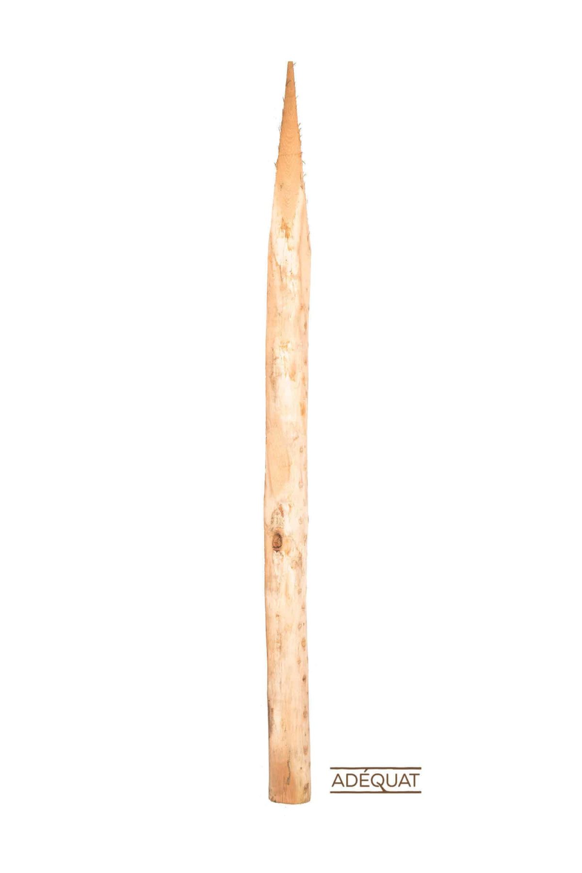 Piquet robinier Ø 8/10 cm
