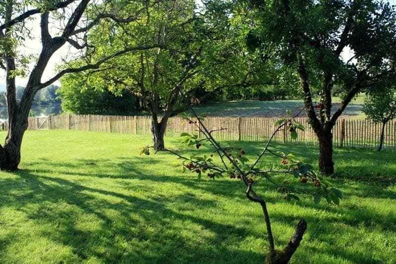 Clôture ganivielle française en bois de châtaignier de 120 cm de hauteur et avec un espacement de 4 cm. entre les lattes.