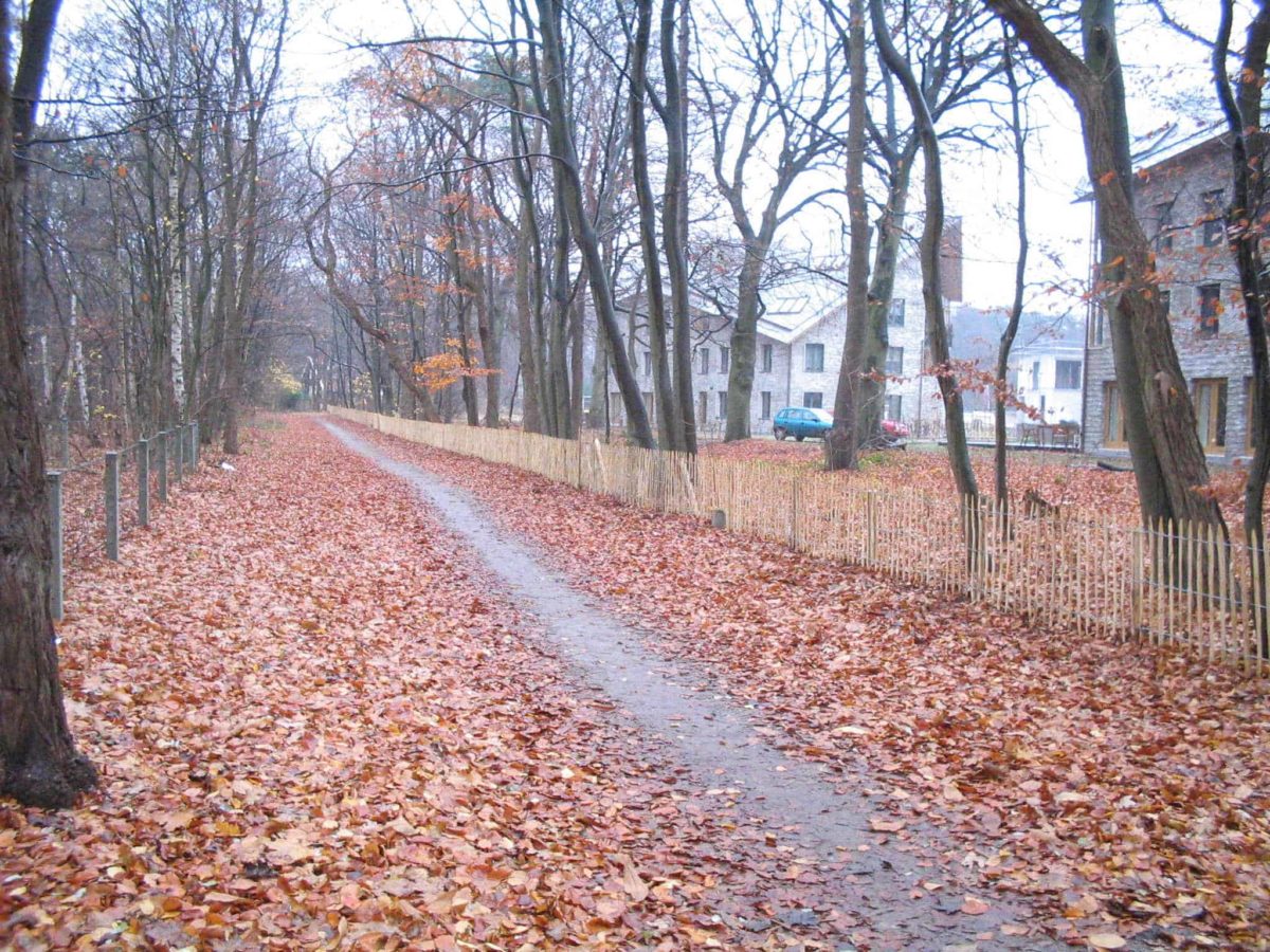 Ganivelle, treillage en châtaignier, 100 cm de hauteur