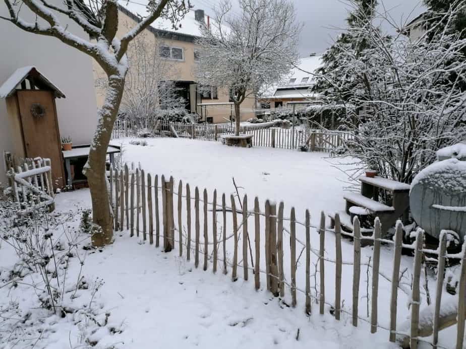 Clôture ganivielle française en bois de châtaignier de 80 cm de hauteur et avec un espacement de 8 cm. entre les lattes.