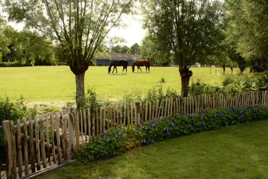 Clôture ganivielle française en bois de châtaignier de 80 cm de hauteur et avec un espacement de 6 cm. entre les lattes.