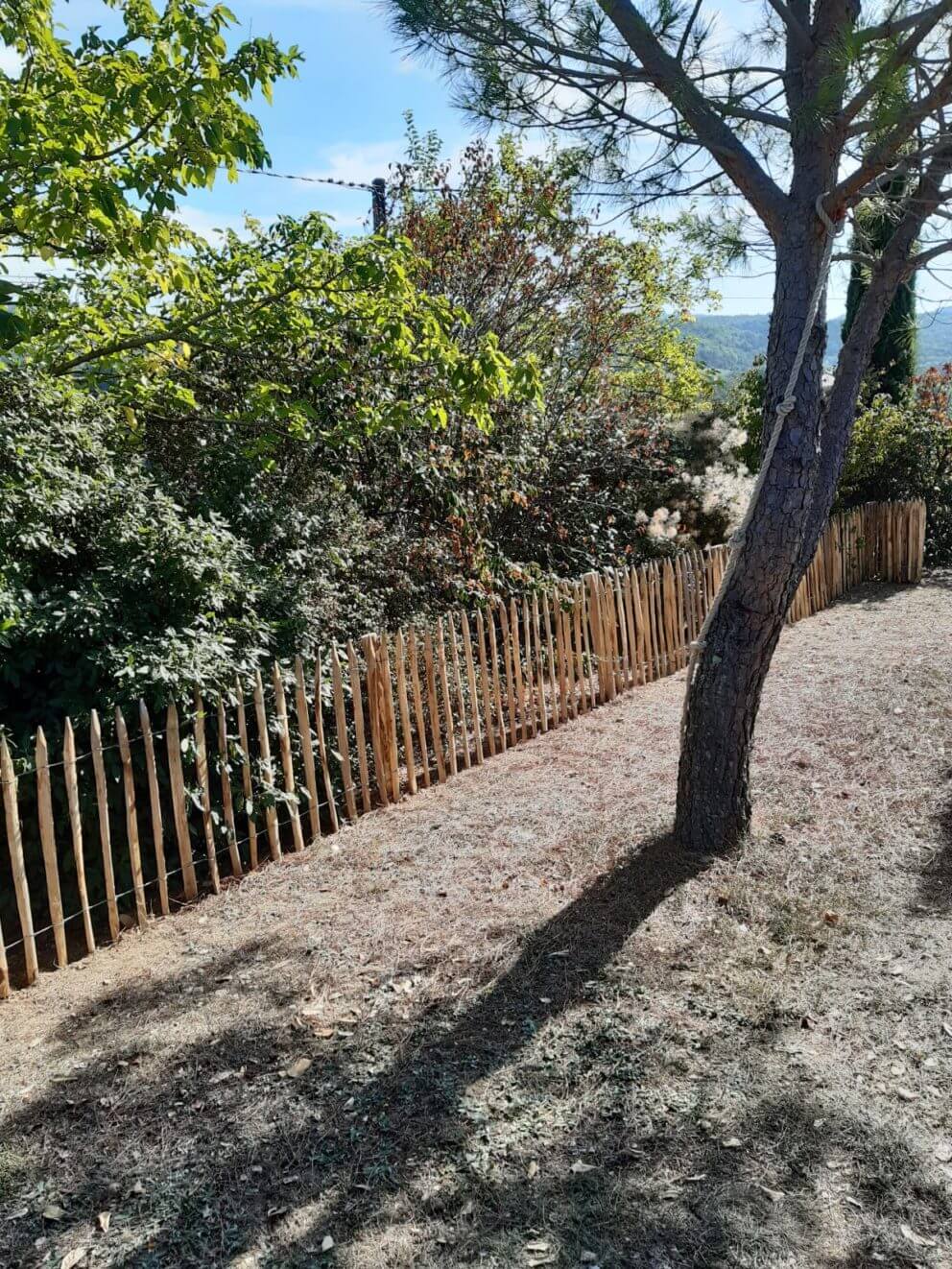 Ganivelle française 80 cm de hauteur, ecart 6 cm