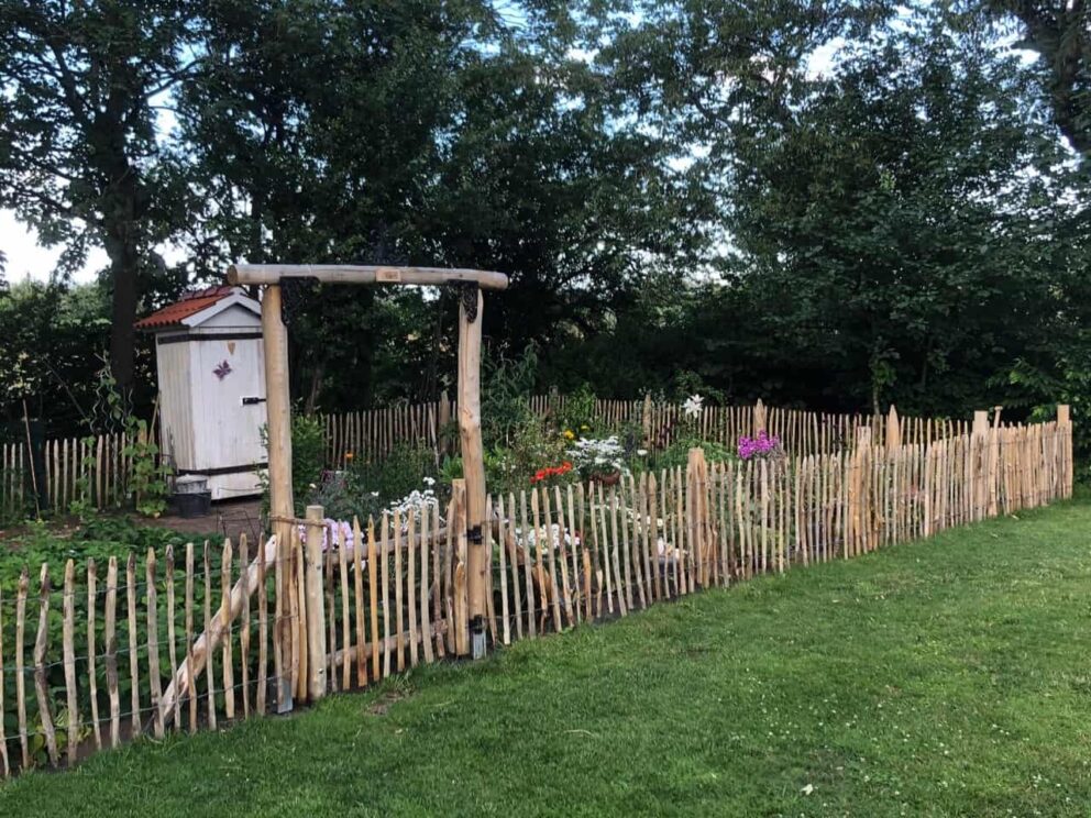 Clôture ganivielle française en bois de châtaignier de 80 cm de hauteur et avec un espacement de 6 cm. entre les lattes. Clôture autour du potager.