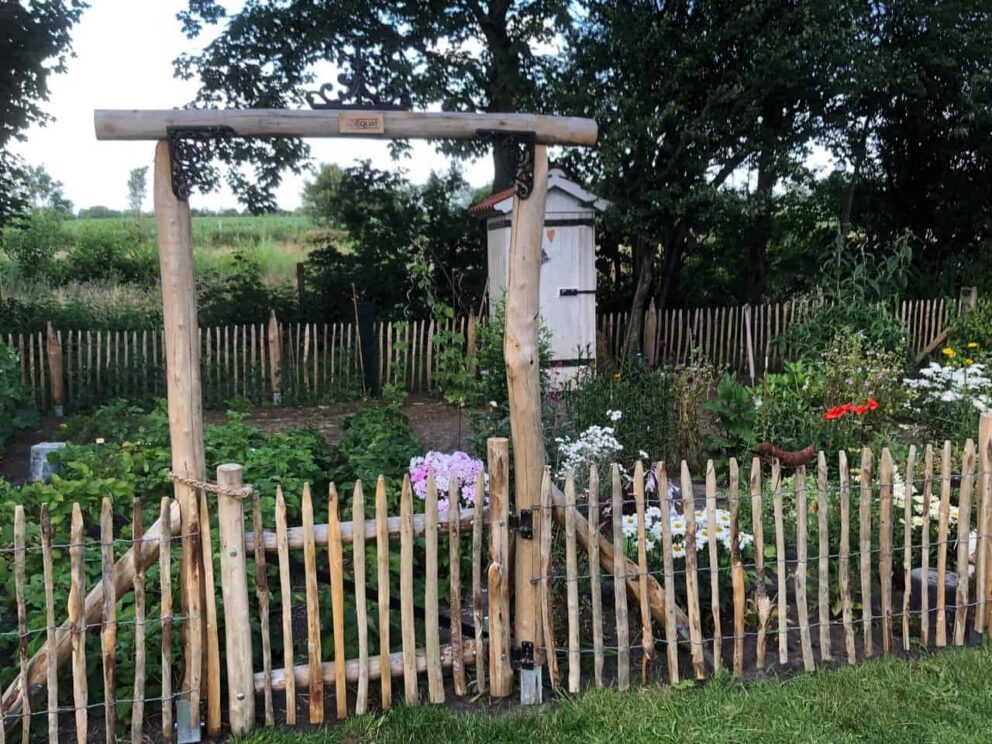 Clôture ganivielle française en bois de châtaignier de 80 cm de hauteur et avec un espacement de 6 cm. entre les lattes. Clôture autour du potager.