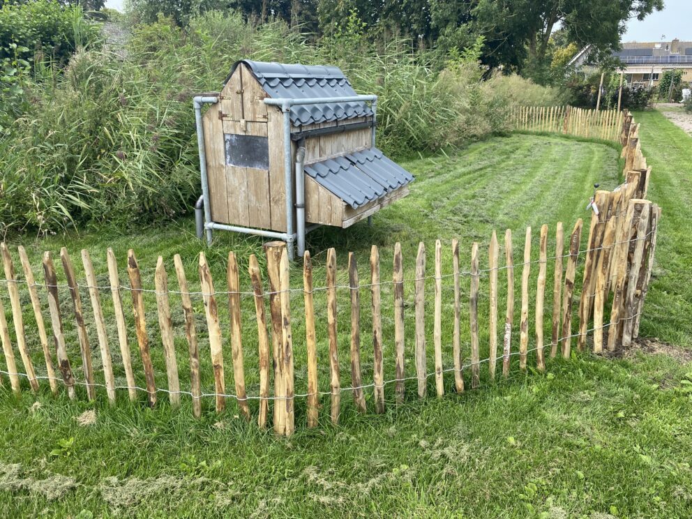Clôture ganivielle française en bois de châtaignier de 80 cm de hauteur et avec un espacement de 4 cm. entre les lattes. Autour du poulailler.